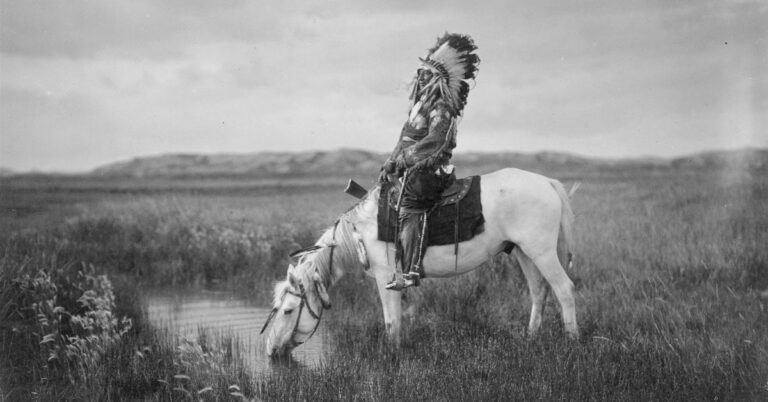 Indian Wars and the Year of George Custer: The Offensive of 1876